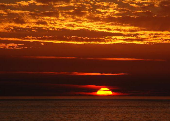 Тар шалбардағы Инна апайдың эротикалық суреттері Қатты және жылдам ит стилі