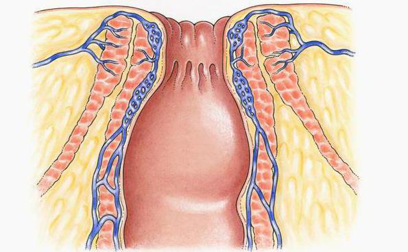 Балапанмен порно