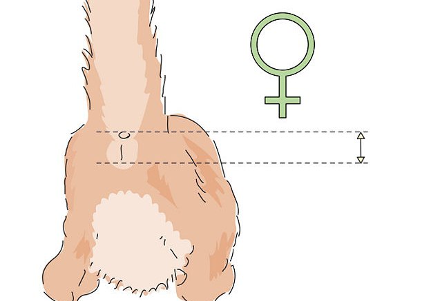 Porno video Ogizda porno tomosha qiling