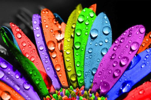 Орыс қыздарының порнографиясын көру Сиреналар аралындағы Одиссейдің видео порно фильмі