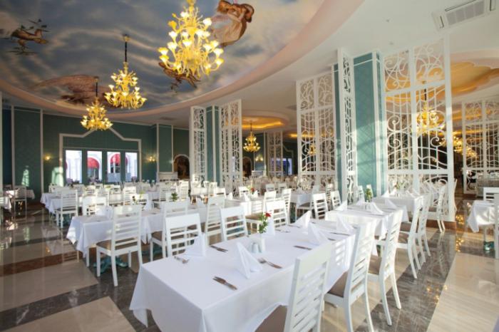 Birinchi marta eshak havaskor uy qurilishi