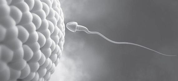 Бейнеге кездейсоқ түсіп қалған кеуде Емшек соратын секс видеосы