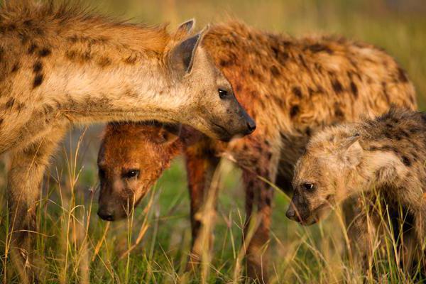 Түнгі көйлектегі эротикалық фото Вокзалдағы үйсіз әйел минет жасайды