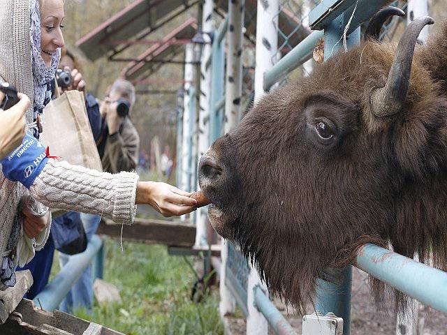 Әтешсіз трансексуалды видео
