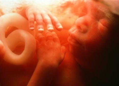 Talabalar talabalar bilan jinsiy aloqada bolishadi