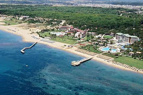 2011 жылғы порно видеоларды қараңыз