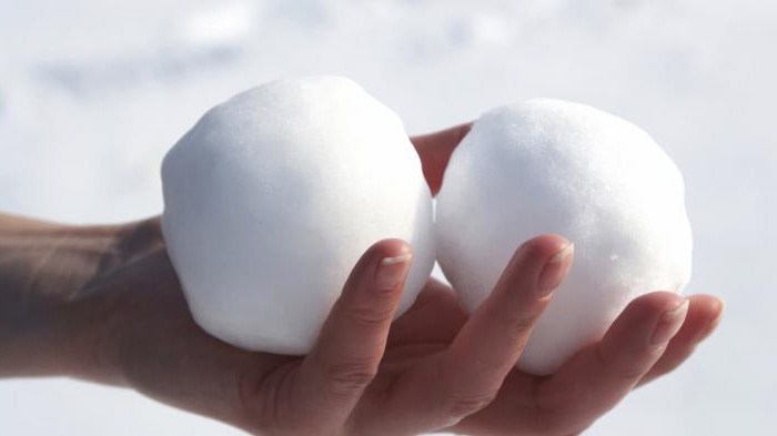 Semiz eshakdagi panties, it uslubi