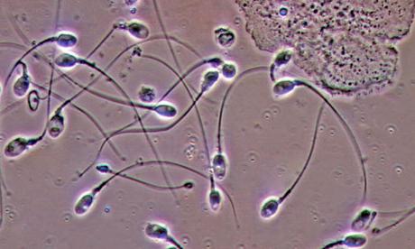 Бөтелкемен әуре