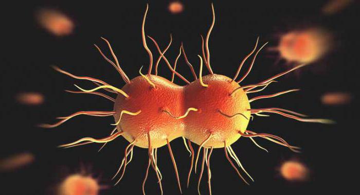 Прагадағы және оңтүстіктегі жезөкшелер