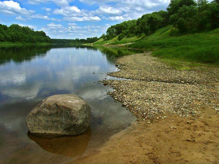 Samsung uchun onlayn porno videolarni tomosha qiling