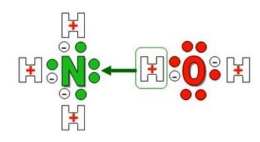 Ammonia Air Mendapatkan Formula Memohon