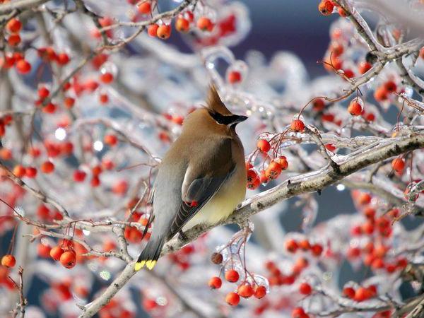 Қызды дымқыл оргазмға қалай жеткізуге болады