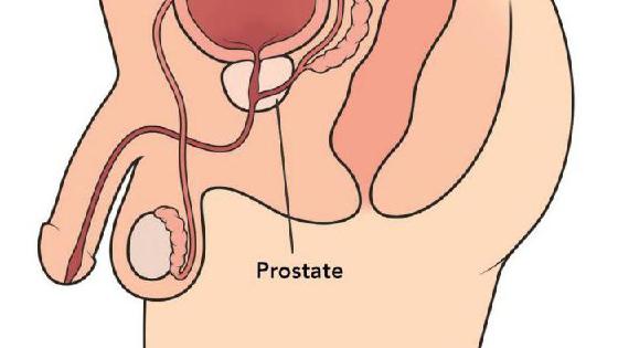 Passionhd - ең әдемі және сапалы порно.