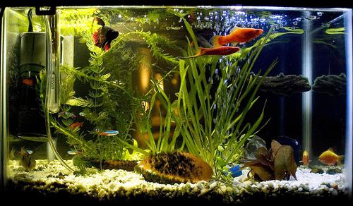 Мұғалімді жалап Порно пенис массажы эротикалық