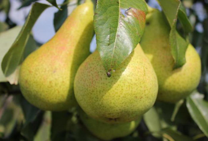 Әдемі позадағы жалаңаш қыздар XXX ретро порно фильмдер