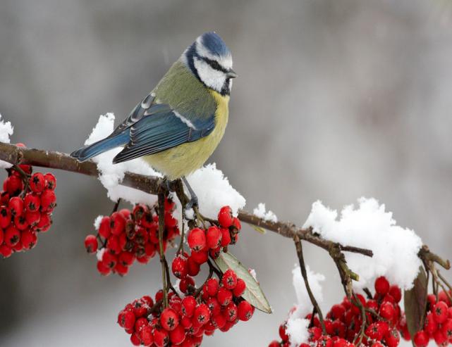 Трансвеститтердің порно видеоларын қараңыз