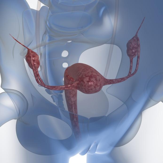 Қожайын жігітті жалап қояды Олар менің минетімді аяқтауға кедергі жасады.
