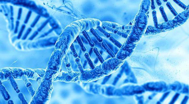 Мини юбка мен шұлық киген қыздардың суреттері