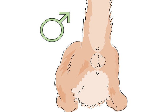 Qora erotik ichki kiyimdagi ayol