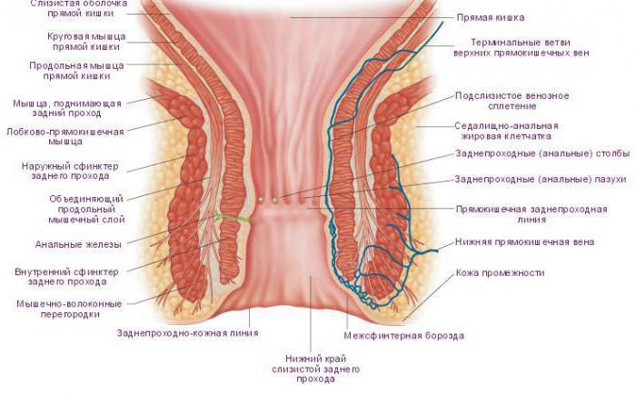 Сара Джей үлкен жопа порно