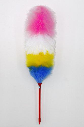 Pipidastry - fırça tozu almak için. Ve