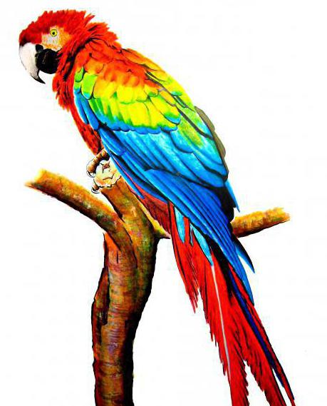 Оливия дель Рио порно онлайн смотреть Қатты секс