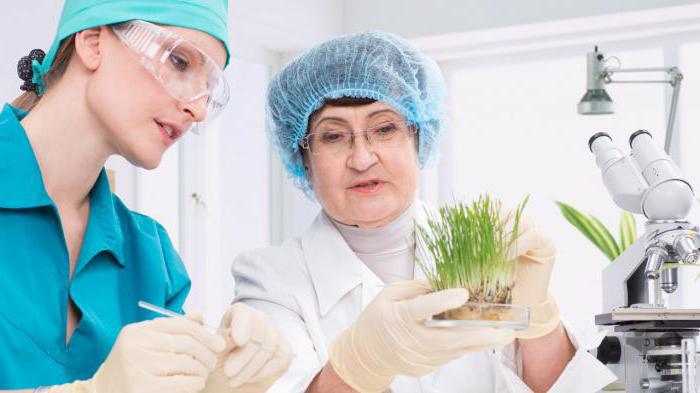 Qizlar yuzlariga urchishadi (video)