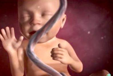 Yalangoch teatrda jinsiy aloqa tomosha qiling