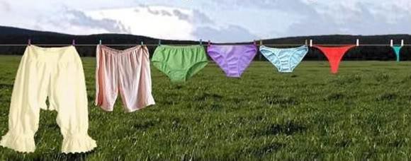 Kopirtirilgan krem eshak porno