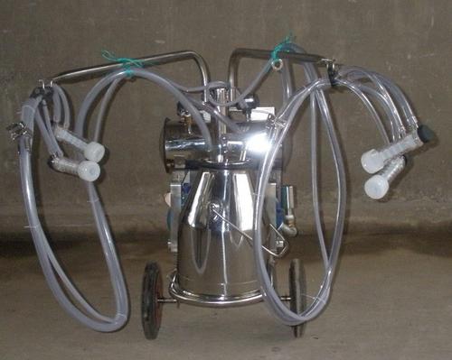 Отбасылық қатынастардағы сексология