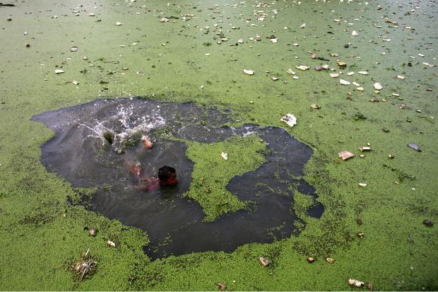 Sungai Tercemar Di Dunia Sungai Sungai Tercemar Rusia