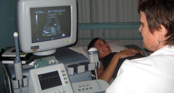 Bachadon porno ultratovush Bachadon porno ultratovush