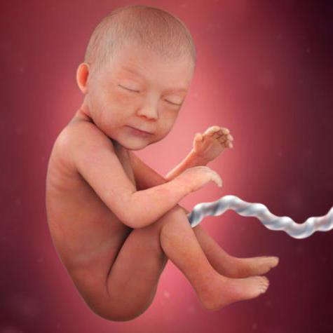 Соня ханым com Хизер Брук онлайн порно жинағы