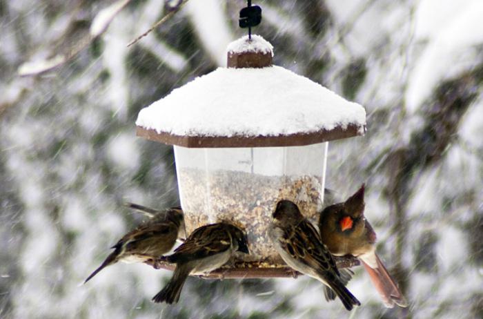 HD орыс порно әлемі