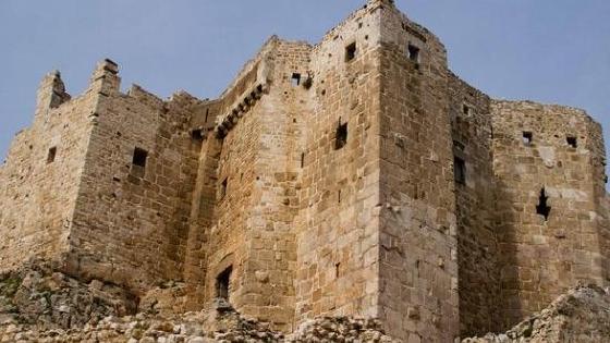 Parasit haiwan: jenis dan nama