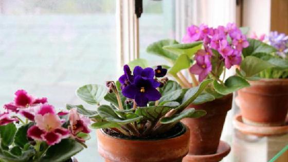 Майнкрафттағы секс туралы суреттер