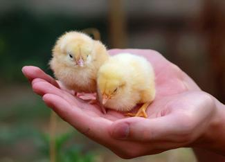 Ас үйдегі секс туралы әдемі порно бейнелерді қараңыз