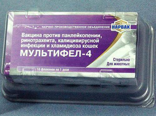 Мен саған Волгоградты жалауға рұқсат етемін