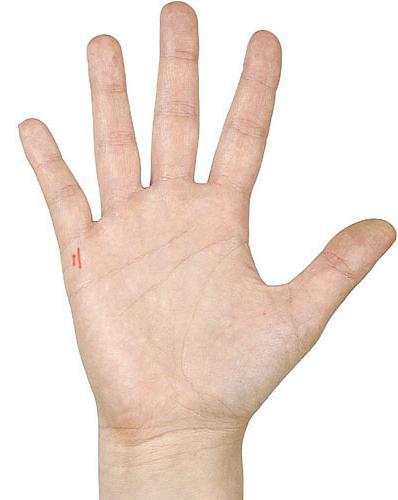 Palmistry Raden Av Barn Avslojar Hemligheten Hur Stor Pafyllning Av Familjen I Framtiden