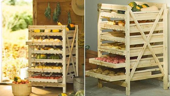 Жас сауыншыны есекке сиқты