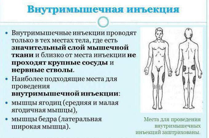 It bilan jinsiy aloqa video