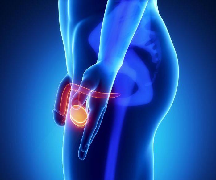 Мастурбация қызының фото видеосы