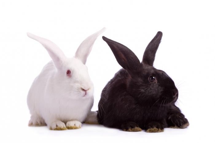 Жалаңаш Анастасия Стоцкаяның порно суреттері