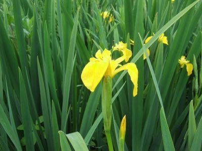 Орыс секс жасырын камера