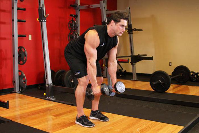 Mushuklar orgazmni siyishmoqda