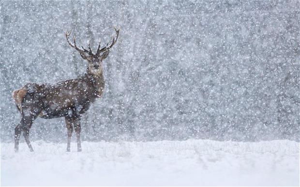Тула порно үй видеолары Диктің фотосы
