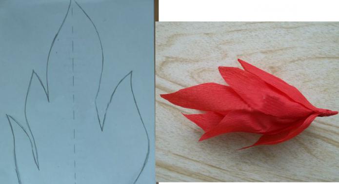 Pitbull клиптері