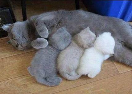 Kimdir uni eshagiga surayotgani pornosini tomosha qiling