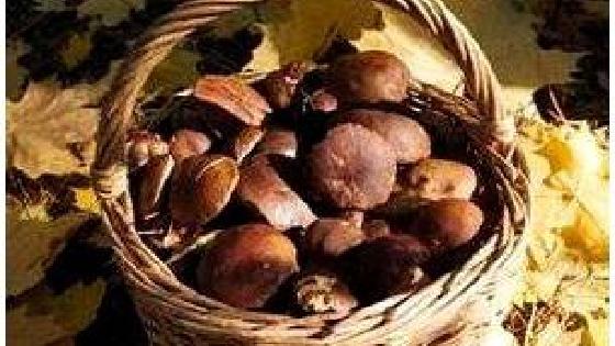 Жігіттің жұлқынып тұрған видеосын көру