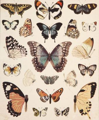 Білім беру порнофильмдерін қараңыз